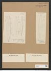 Diatomeae indet. (de-Toni-Nr.: Species 1369) Zeichnungen Sammlung Grunow Nr. 2499 (NHMW-BOT-W0369823)